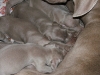 DSCF3163_800